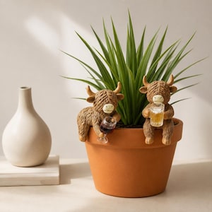 May include: A terracotta plant pot with a green plant and two brown Highland cow ornaments. One cow holds a glass of red wine, the other a glass of beer. A white vase is to the left.