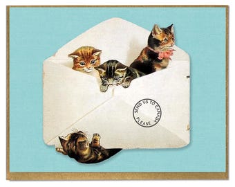 No Trump Cats Card: Funny Protest Art