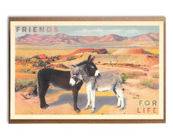 Friends For Life: Sweet Vintage Donkeys in the Desert Card