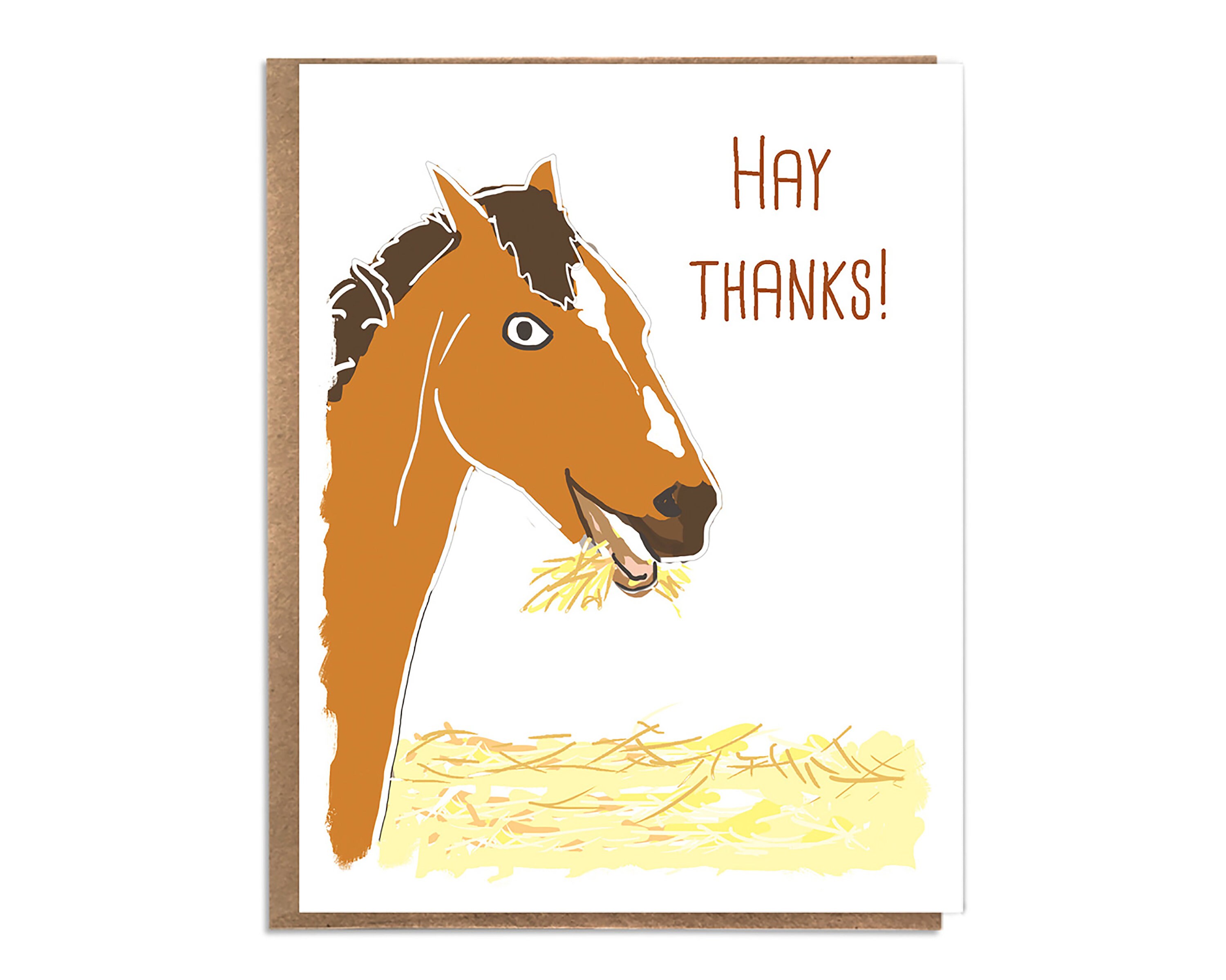 Hay Thanks Funny Thank You Card Funny Horse Card Cute Thank You Horse  Lovers Animal Lovers Unique Thank You Card Fun Thank You - Etsy