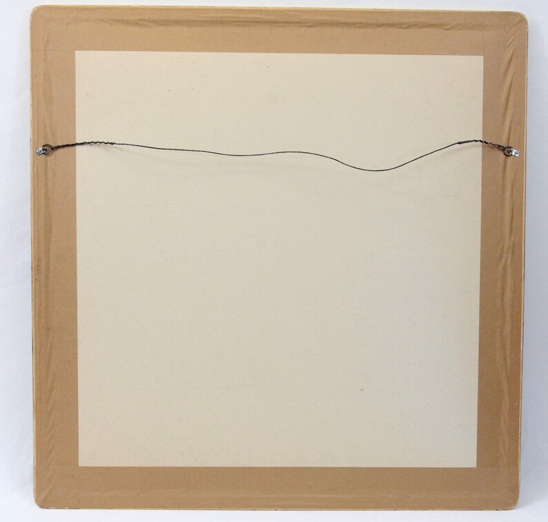 May include: A framed artwork, viewed from the back, with a beige paper and a brown frame. A thin wire is strung across the back for hanging. The frame is sealed with clear plastic.