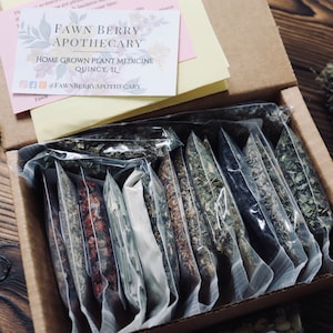 Apothecary Starter Kit | Recipes Included with Each Kit! | Herb Starter Pack | Plant Medicine Starter Pack | Witch Craft Starter Kit