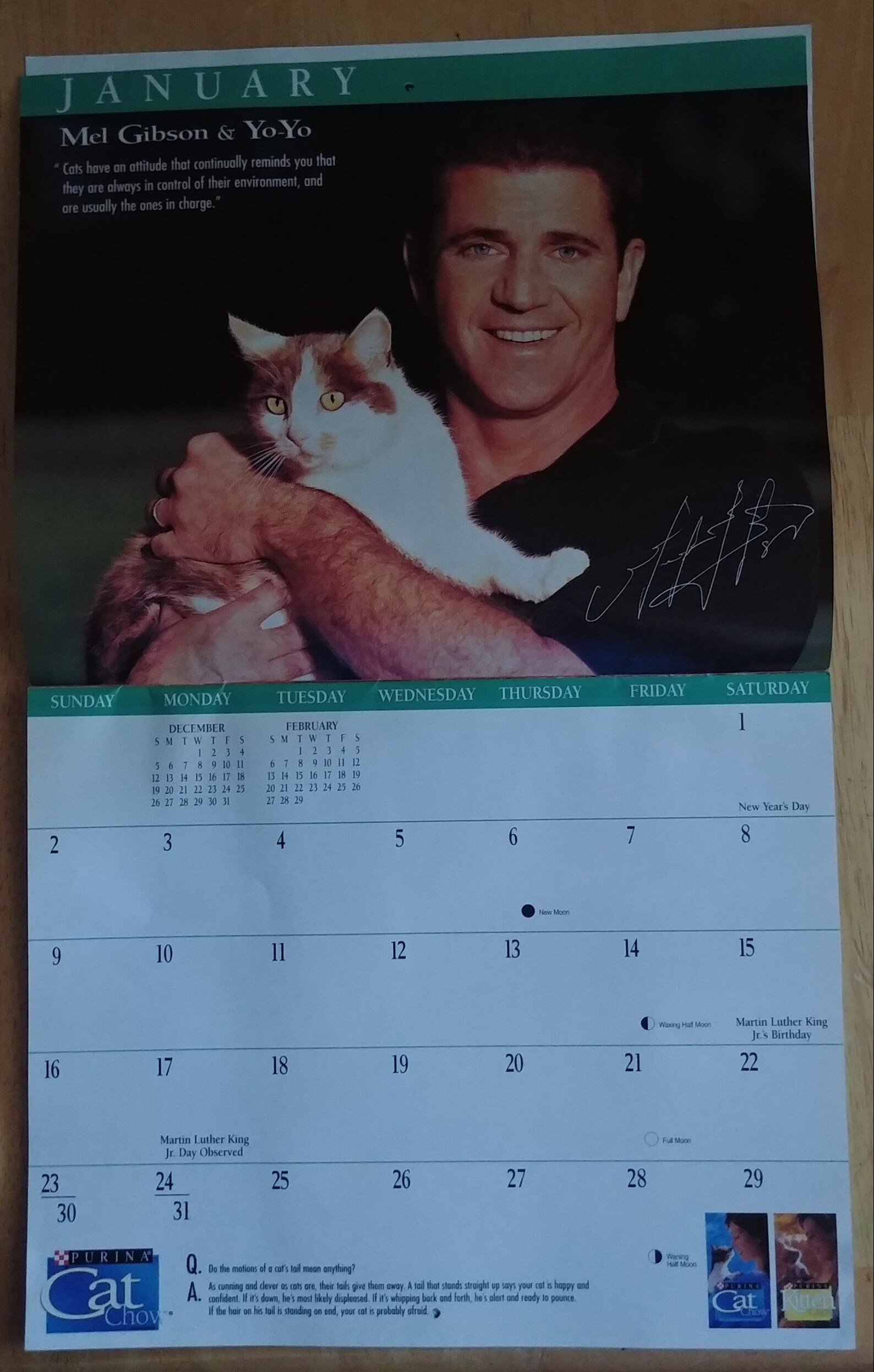 2000 Purina Celebrity Cat Calendar Etsy