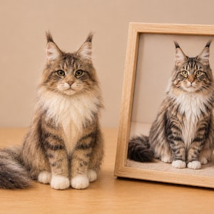 May include: A realistic, handcrafted felted Maine Coon cat figurine with brown tabby fur, white chest, and tufted ears, positioned next to a light-coloured wooden picture frame containing a photograph of the exact same cat sitting in the same pose.