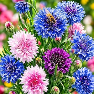 Exotic Flower Seeds - Etsy