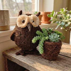 Handmade Coco Coir Owl Planter, Rustic Woodland Animal Flower Pot for Succulents