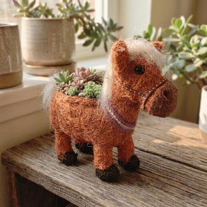 Handmade Coco Coir Pony Planter, Rustic Animal Flower Pot for Succulents
