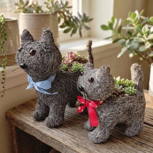 Handmade Coco Coir Cat Planter, Rustic Animal Flower Pot for Succulents