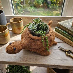 Puede incluir: Una maceta con forma de tortuga hecha de fibras de coco marrones, que contiene un cactus verde y suculentas en un recipiente oscuro, con una planta rosario colgante sobre el costado, situada junto a dos libros y una taza sobre madera.