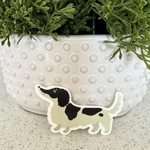 Dackel Vinyl Sticker, 7,5 cm, Schwarz weiß gescheckter Langhaar Dachshund, Dackel, Dackel, Dackel, Dackel, Dackel, Dackel, Dackel, Dackel, Dackel