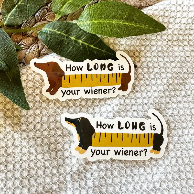 Brown Dachshund Ruler Vinyl Sticker: Funny Dog Quote - Etsy