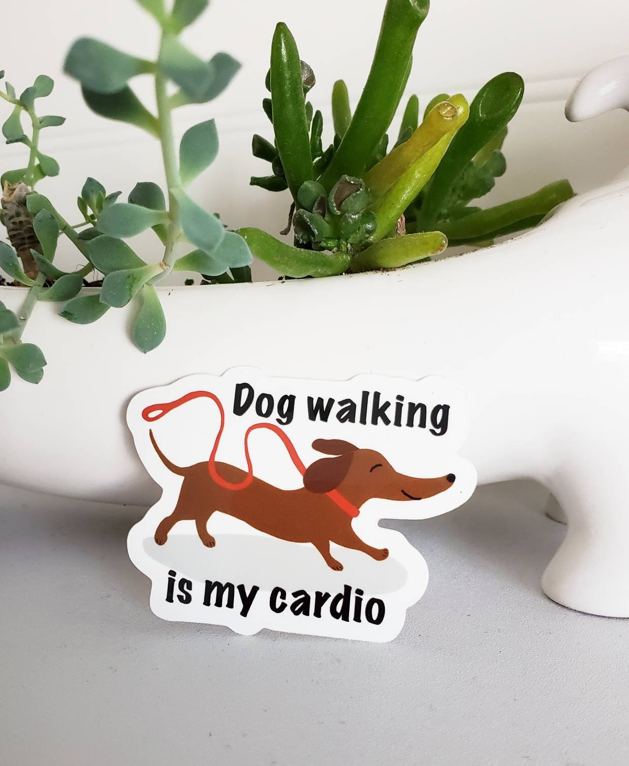 Why Does My Dog Walk Funny