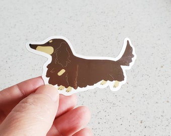 Chocolate Long Hair Dachshund Vinyl Sticker - Doxie Art