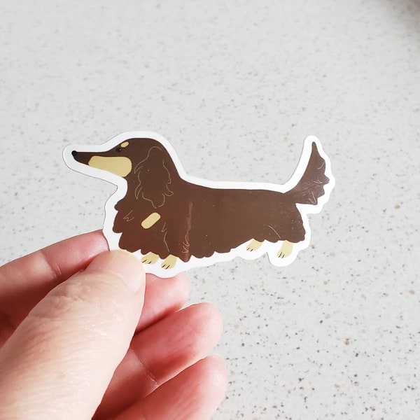 Dachshund Vinyl Sticker, 3", Chocolate and Tan Long Hair Dachshund, wiener dog, dachshund sticker vinyl , doxie cute sticker dachshund art