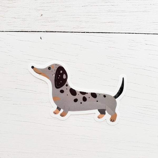 Dachshund Vinyl Sticker, 3", Grey/Silver/Black Dapple Smooth Coat Dachshund,wiener dog, sausage dog, doxie cute sticker dachshund art