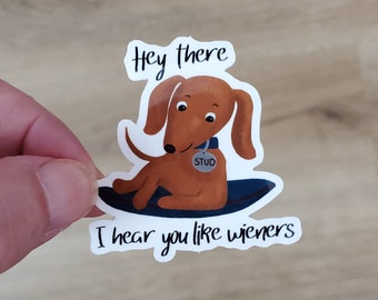 Funny Dachshund Vinyl Sticker – 'Heard You Like Wieners'