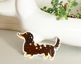 Dapple Dachshund Vinyl Sticker: Chocolate Tan Long Hair Doxie Art
