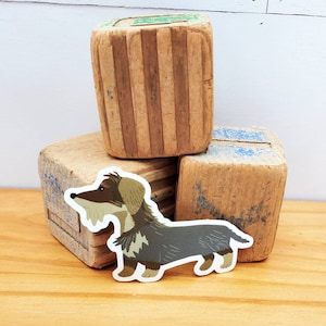 Wirehaired Dackel Vinyl-Aufkleber 3 ", Wildschwein Drahthaar-Mantel-Dackel, Dackel Aufkleber Vinyl, niedlicher Doxie Aufkleber