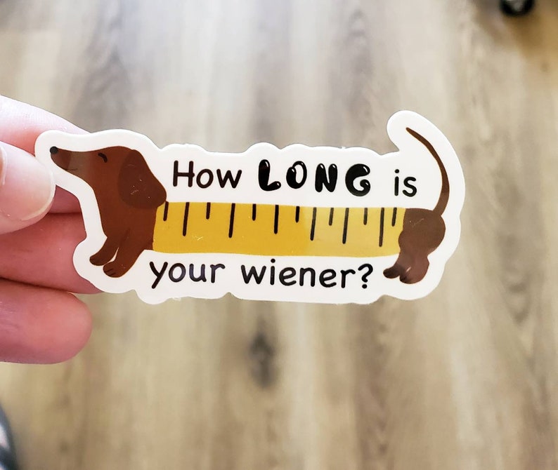 Dogs Speed Ruler Brown Dachshund Ruler Vinyl Sticker: Funny Dog Quote - Etsy