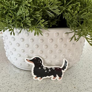 Dackel Vinyl Sticker, 7,5 cm, Schwarz und Hellbraun DAPPLE Langhaar Dachshund, Dackel, Dackel, Dackel, Dackel, Dackel, Dackel Aufkleber
