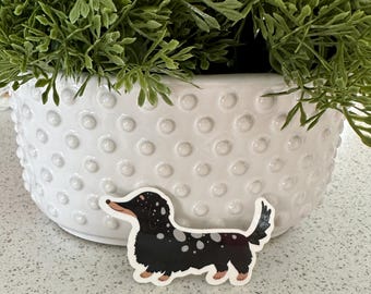 Dachshund Vinyl Sticker, Black and Tan Dapple Long Hair Doxie