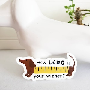 Doxie Vinyl Sticker, 2", How long is your wiener, Dachshund Humor, cute sticker, for the dog lover, red doxie