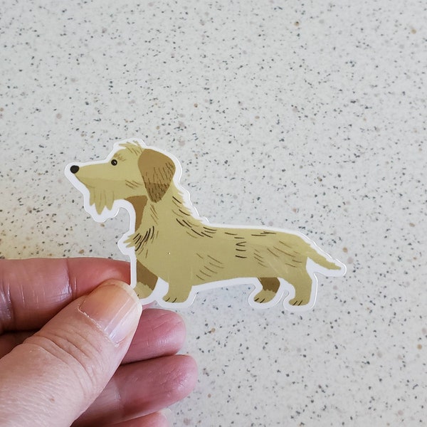 Wirehaired Dachshund Vinyl Sticker, 3", Wheaton/ Tan Wire Haired Coat Dachshund, wiener dog, cute doxie sticker dachshund gift