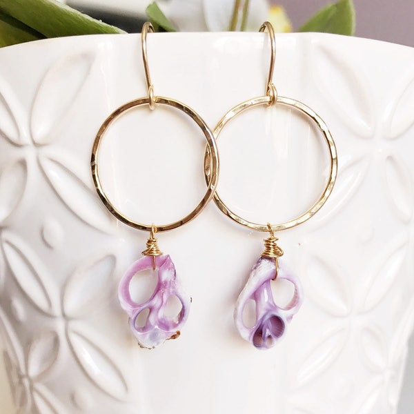 Earrings Lulu - shell earrings - shell hoop earrings - purple shell earrings - beach jewelry (E384)