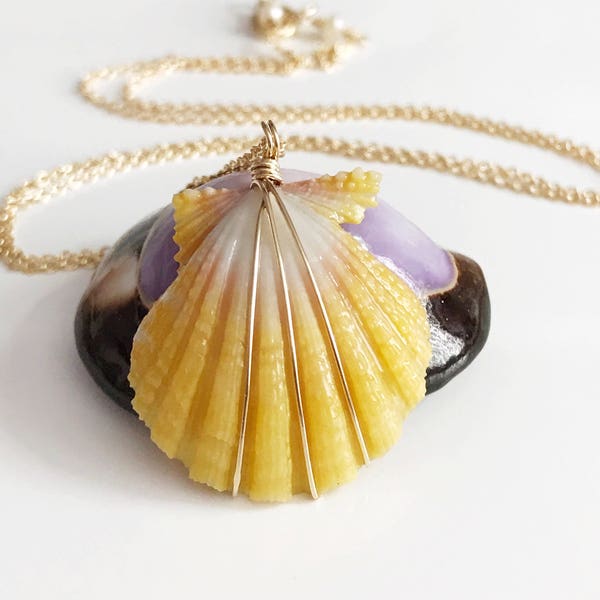 Necklace Mele - yellow sunrise shell necklace - sunrise necklace - Hawaiian sunrise shell - beach jewelry - gift for her (N112)