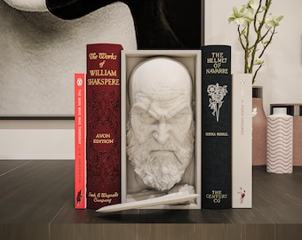 Mythic Warrior Book Nook 3D Printed Fantasy Shelf Insert Decor