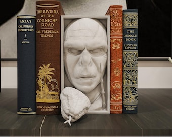 Dark Wizard Book Nook Magical Fantasy Shelf Insert 3D Printed Dark Sorcerer Decor