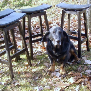 K&ouml;nnte beinhalten: F&uuml;nf schwarze Barhocker aus Holz mit schwarzen gepolsterten Sitzen. Die Hocker sind in einem Halbkreis um einen schwarzen Hund angeordnet.