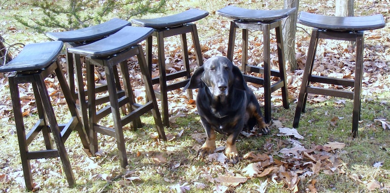 K&ouml;nnte beinhalten: F&uuml;nf schwarze Barhocker aus Holz mit schwarzen gepolsterten Sitzen. Die Hocker sind in einem Halbkreis um einen schwarzen Hund angeordnet.