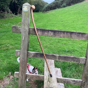 May include: A long, curved wooden walking stick with a smooth, rounded light-colored handle and a dark rubber ferrule at the base. The shaft features a natural, textured brown bark finish, leaning against a weathered wooden fence post.