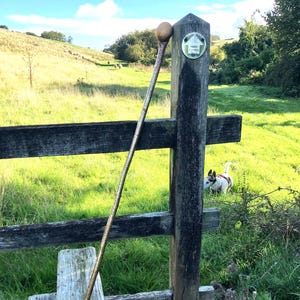Könnte beinhalten: Ein langer, schlanker Gehstock aus Holz mit einem glatten, abgerundeten Knaufgriff an der Oberseite und einer dunklen Zwinge an der Basis. Der Schaft weist eine natürliche, strukturierte Holzmaserung auf und lehnt an einem verwitterten Holzzaunpfosten.
