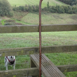 Handcrafted Scottish Hazel Root Walking Stick: Highland Hiking Cane (40 1/4 inches) Loch Ness origin