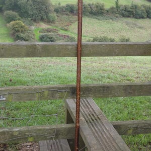 May include: A tall wooden walking stick featuring a dark brown, textured bark-covered shaft and a smooth, light-colored, rounded wooden handle at the top. The base of the stick is finished with a dark, cylindrical rubber ferrule for stability.