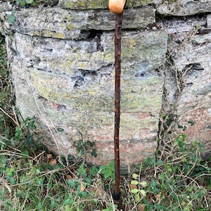 Handcrafted Blackthorn Knob/Root walking stick 31 3/4 inches Irish Blackthorn Rare and unique