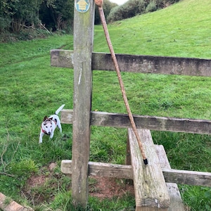 Peut inclure: Une longue canne de marche en bois fin avec une poignée arrondie en forme de pommeau au sommet et une virole sombre à la base. Le bâton présente une surface en écorce naturelle et texturée, appuyé contre un poteau de clôture en bois.