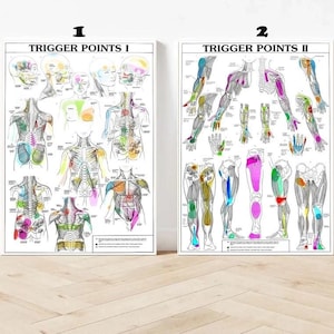 May include: Two framed anatomical charts labeled "TRIGGER POINTS I" and "TRIGGER POINTS II". The charts feature detailed illustrations of the human body, highlighting muscle groups and trigger points with colorful accents. The charts are displayed against a white background.