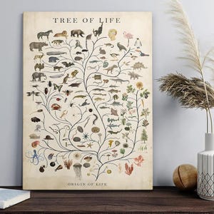Peut inclure: Une affiche de style vintage intitulée "TREE OF LIFE" avec des illustrations de divers animaux, insectes et plantes disposés en forme de branches. L'affiche a un fond crème et le texte "ORIGIN OF LIFE" en bas.
