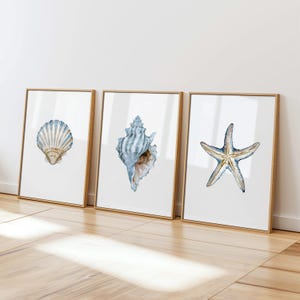 May include: Three framed wall art prints featuring watercolor illustrations of marine life. The left print shows a fan-shaped scallop shell, the center print displays a spiral conch shell, and the right print depicts a five-pointed starfish.