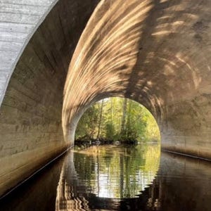 Könnte beinhalten: Ein Betontunnel, der sich über einem ruhigen Gewässer wölbt und die Umgebung widerspiegelt. Sonnenlicht scheint durch die Öffnung des Tunnels und beleuchtet das Wasser und die Bäume dahinter. Die Textur des Tunnels ist sichtbar.