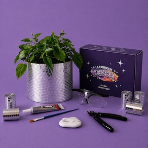 Könnte beinhalten: Ein DIY-Diskokugel-Set mit einem zylindrischen Diskokugel-Übertopf mit grüner Pflanze, einer dunkelvioletten Schachtel mit der Aufschrift La Fabrique Disco, Schutzbrille, E-7000-Kleber, Pinsel, weißem Werkzeug und kleinen Spiegelkachelrollen.