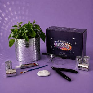 Kit créatif adulte Pot de Fleurs Disco – DIY Mosaïque Miroir – Cache-Pot Boule à Facettes – Déco Plantes Originale