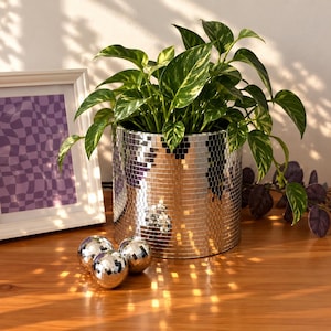 Pode incluir: Um vaso cilíndrico coberto por pequenos azulejos de espelho prateados e refletores, contendo uma planta pothos variegada em verde e amarelo. Três pequenas bolas de discoteca esféricas estão colocadas à frente do vaso sobre madeira.