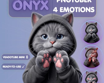Modello PNGTuber gatto, gattino grigio accogliente con felpa, avatar carino per streamer per Twitch e YouTube, risorse mini pronte per Veadotube, Vtuber soffice