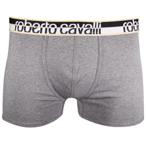 May include: Grey boxer briefs featuring a wide, elastic waistband with the text 'roberto cavalli' in black lettering against a white background, bordered by thin gold stripes. The garment is constructed from a solid grey fabric with visible seams.