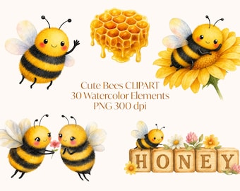 Niedliche Bienen Clipart, Aquarell Biene PNG, Honig Clipart, Hummel Clipart, Sonnenblume PNG, Sublimation, Cricut, kommerzielle Nutzung