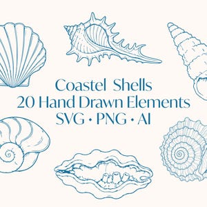 May include: A collection of six hand-drawn coastal shell illustrations in a blue outline style. The image includes various shell shapes, with text that reads "Coastal Shells, 20 Hand Drawn Elements, SVG, PNG, AI."